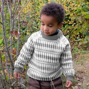 Stickad tröja Lärka – garnpaket i Bluum Pure Eco Baby Wool