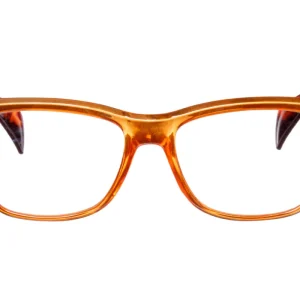 ISABEL transparent lion-turtle brown Reading Glasses FYNDA! 25% RABATT