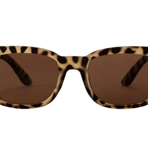 SB-HERTA foggy turtle brown bifocal w power Sunglasses