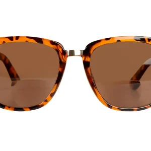 SB-NOVA demi brown bifocal w powe Sunglasses SALE